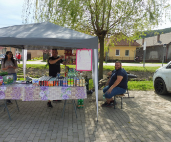 Národný projekt Rozvojové tímy I. / Medzinárodný deň Rómov - foto