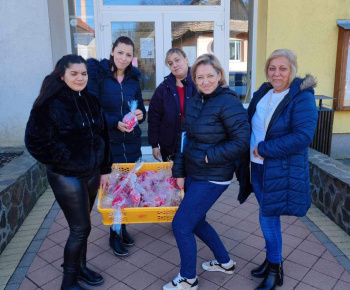 Národný projekt Rozvojové tímy I. / Valentín pre všetkých - foto