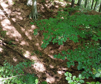 Kultúra v obci / XX. ročník turistického výstupu Po starých banských dielach a chodníčkoch - foto