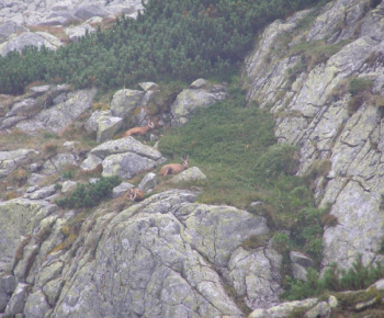 Roháče, Vysoké Tatry 2010